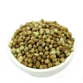 A shortage of market bulk hemp seed Competitive prices
